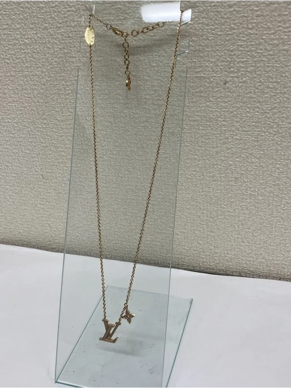 Louis Vuitton brand louis